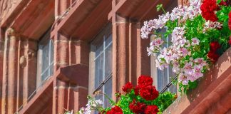 Warto wziąć rzeczoznawcę, dla własnego spokoju