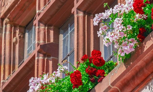 Warto wziąć rzeczoznawcę, dla własnego spokoju Warto wziąć rzeczoznawcę, dla własnego spokoju