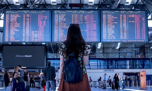 Przewodnik turystyczny