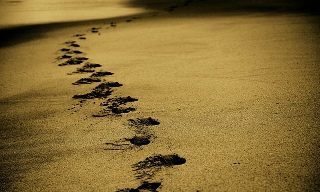 Warto spróbować choćby odrobinę Warto spróbować choćby odrobinę