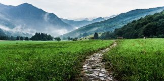 Jak zdecydować się na rodzaj wakacji jaki chcemy spędzić w tym roku