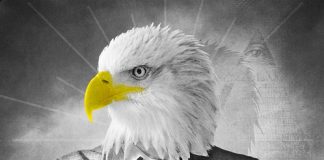 Umowa przedwstępna – czy koniecznie u notariusza