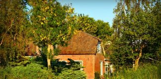 Schody drewniane, powrót do tradycji