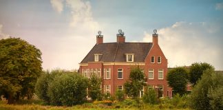 Wykładziny dywanowe z różnych kolekcji