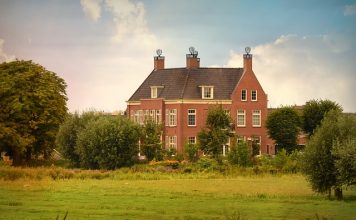 Wykładziny dywanowe z różnych kolekcji