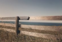 Zabawa w domku z drewna