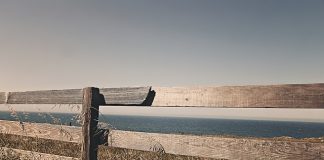 Zabawa w domku z drewna