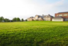 Kamienice dobrą inwestycją Kamienice dobrą inwestycją