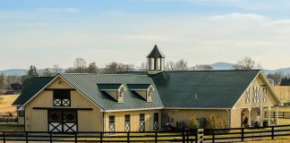 Budownictwo- forum Internetowe