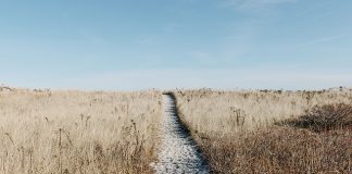 Jak spędzić czas w Zamościu wraz z dziećmi