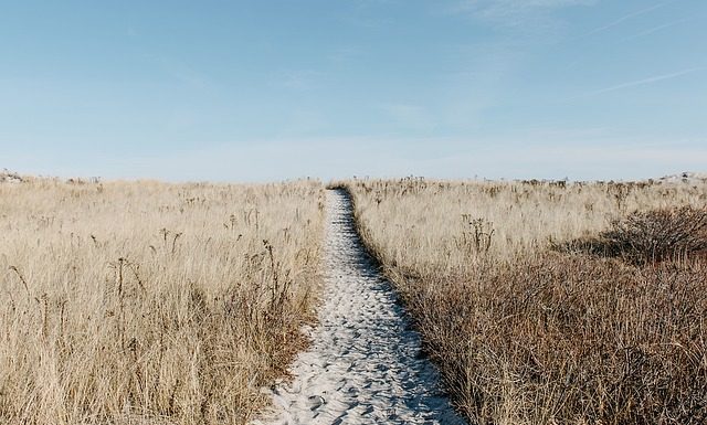Jak spędzić czas w Zamościu wraz z dziećmi
