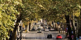 Firmy zajmujące się transportem osób