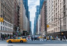 Trudny wybór samochodu