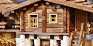 Najlepsze miejsce na dom