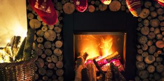 Poczatek krowiej przygody