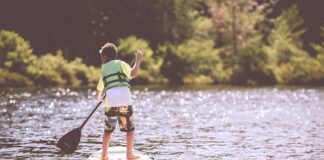 Czy kamizelka pasuje do koszuli z krótkim rękawem?