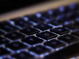 Czy modne są prochowce?