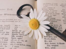 Co by nie powiedzieć słownik poprawnej polszczyzny?