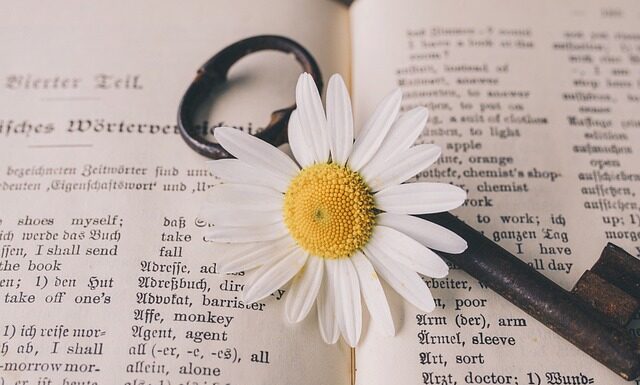 Co by nie powiedzieć słownik poprawnej polszczyzny?