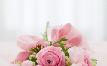 Co zrobić z bukietem róż?