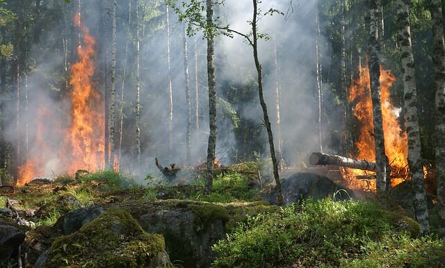 Jak się nosi ponczo?
