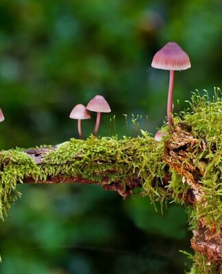 Jakie są rodzaje rękawiczek?