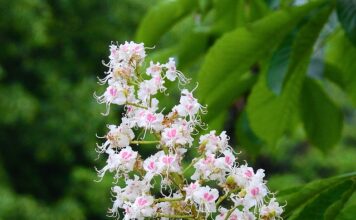 Co powiedzieć komuś przed maturą?