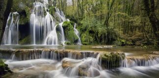 Czy polo to t-shirt?