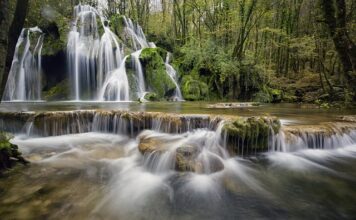 Czy polo to t-shirt?