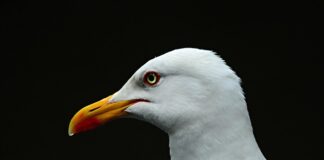 W jakich butach na Morskie Oko?