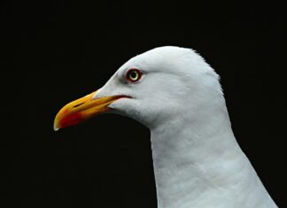 W jakich butach na Morskie Oko?