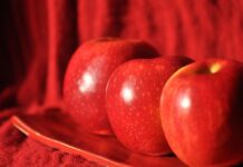 Ile za talerzyk na wesele 2024?