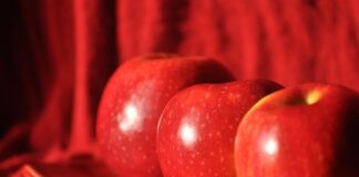 Ile za talerzyk na wesele 2024?