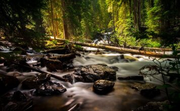 Gdzie kupić wełniane rękawiczki?