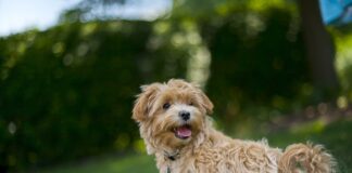 Jakie skarpety na upały?