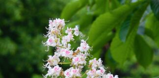 Czego się życzy przed maturą?