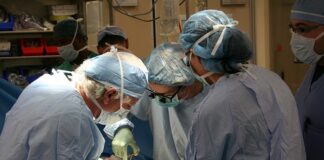 Jak długo żyje się po przeszczepie nerki?