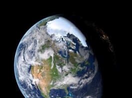 Co to znaczy czarna róża?