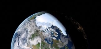 Co to znaczy czarna róża?