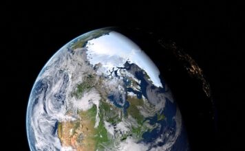 Co to znaczy czarna róża?