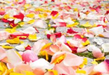 W jakim sklepie można kupić płatki róż?