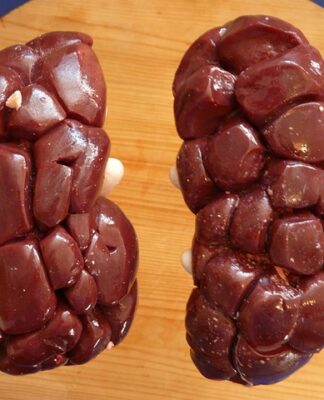 Czy nerka może się zregenerować?