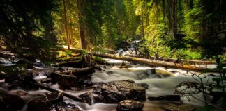 Czy wełniane skarpety są zdrowe?