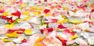 Ile kosztują płatki róż?