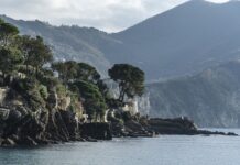 Ile kosztuje nerka w Iranie?