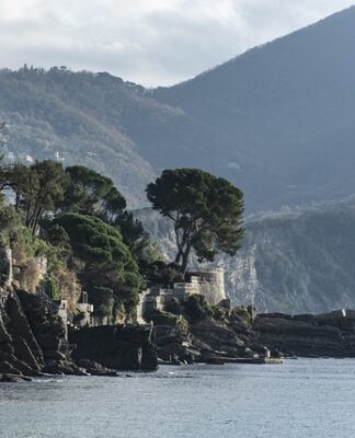 Ile kosztuje nerka w Iranie?