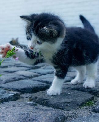 Z czego robi się skarpety?