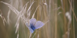 Co to znaczy słowo tudzież?