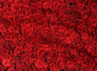 Czy czerwone buty są modne w tym sezonie?