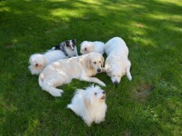 Jak siedzieć w płaszczu?